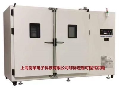 非標(biāo)大型烘箱